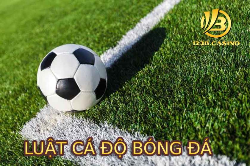 Chia sẻ về luật cá độ bóng đá cụ thể tại Việt Nam 2022