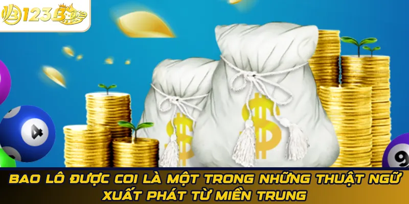 Bao lô được coi là một trong những thuật ngữ xuất phát từ miền Trung