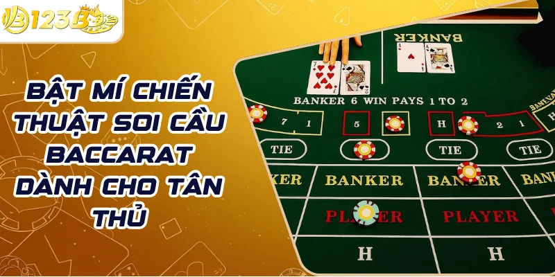 Bật mí chiến thuật soi cầu Baccarat dành cho tân thủ