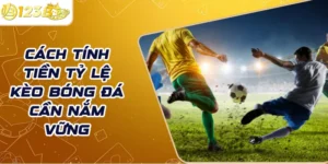 Cách tính tiền tỷ lệ kèo bóng đá