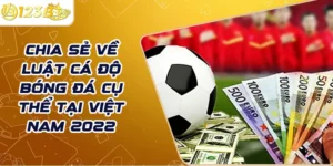 Chia sẻ về luật cá độ bóng đá cụ thể tại Việt Nam 2022