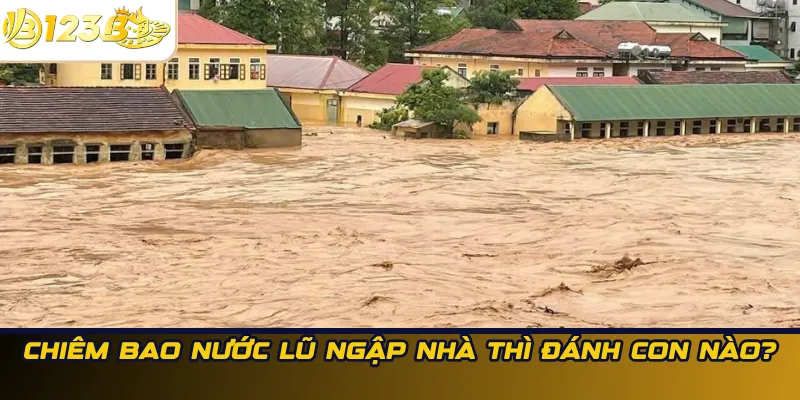 Chiêm bao nước lũ ngập nhà thì đánh con nào?