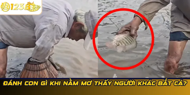 Đánh con gì khi nằm mơ thấy người khác bắt cá?