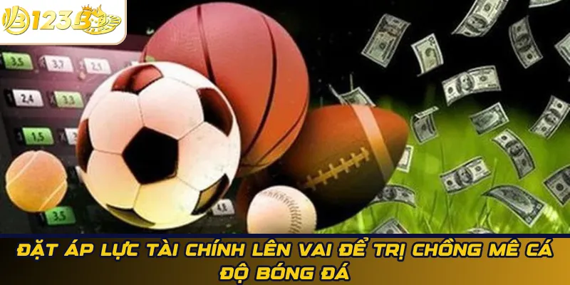 Đặt áp lực trách nhiệm tài chính lên vai