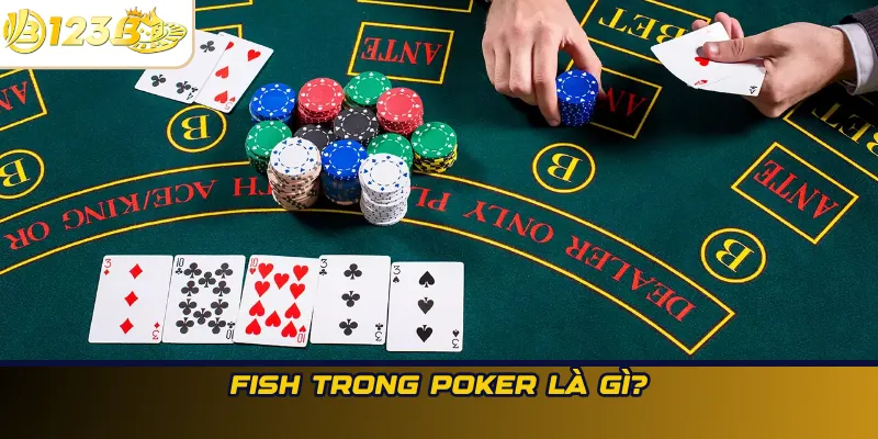 Fish trong Poker là gì?