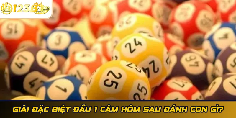 Giải đặc biệt đầu 1 câm hôm sau đánh con gì