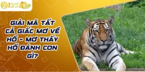 Giải mã tất cả giấc mơ về hổ – Mơ thấy hổ đánh con gì?