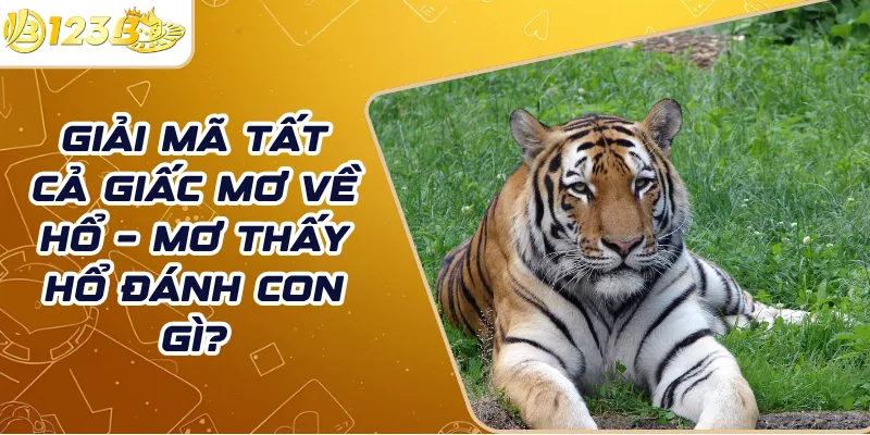 Giải mã tất cả giấc mơ về hổ – Mơ thấy hổ đánh con gì?