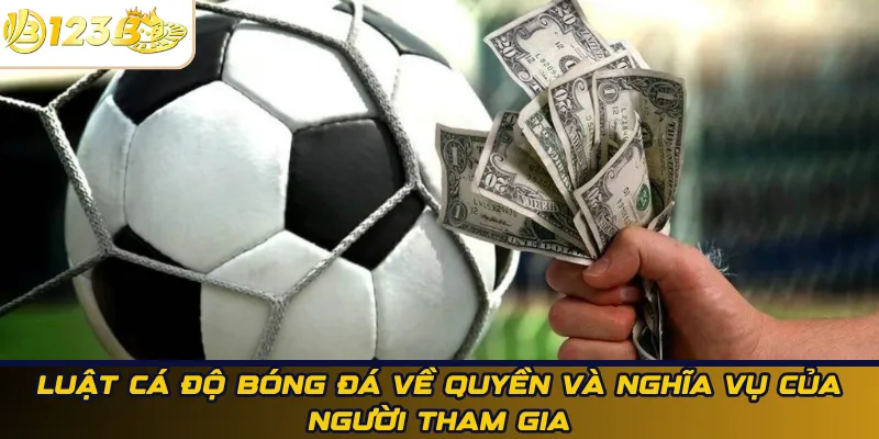 Luật cá độ bóng đá về quyền và nghĩa vụ của người tham gia