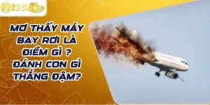 Đánh đề con gì khi mơ thấy máy bay rơi?