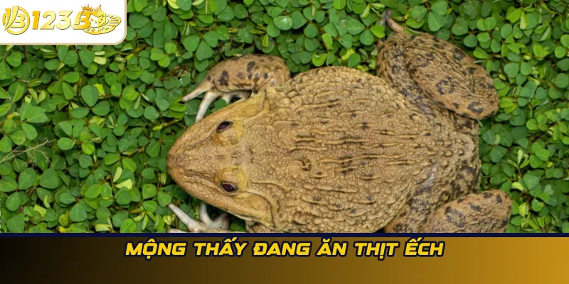 Mộng thấy đang ăn thịt ếch