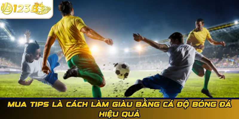 Mua tips cá độ bóng đá