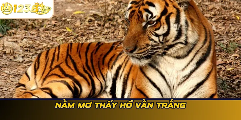 Nằm mơ thấy hổ vằn trắng