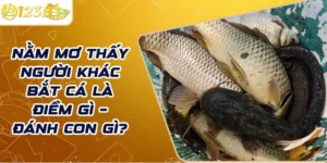Nằm mơ thấy người khác bắt cá là điềm gì – Đánh con gì?