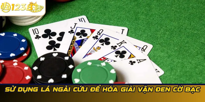 Sử dụng lá ngải cứu để hóa giải vận đen cờ bạc