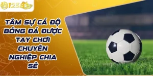 Tâm sự cá độ bóng đá được tay chơi chuyên nghiệp chia sẻ