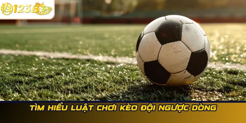 Tìm hiểu luật chơi kèo đội ngược dòng