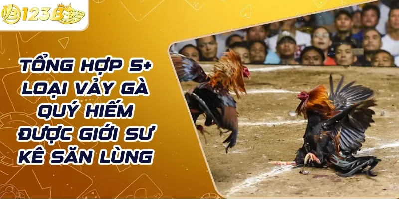 Tổng hợp 5+ loại vảy gà quý hiếm được giới sư kê săn lùng