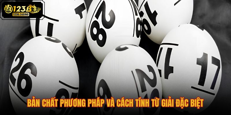 ban-chat-phuong-phap-va-cach-tinh-tu-giai-dac-biet