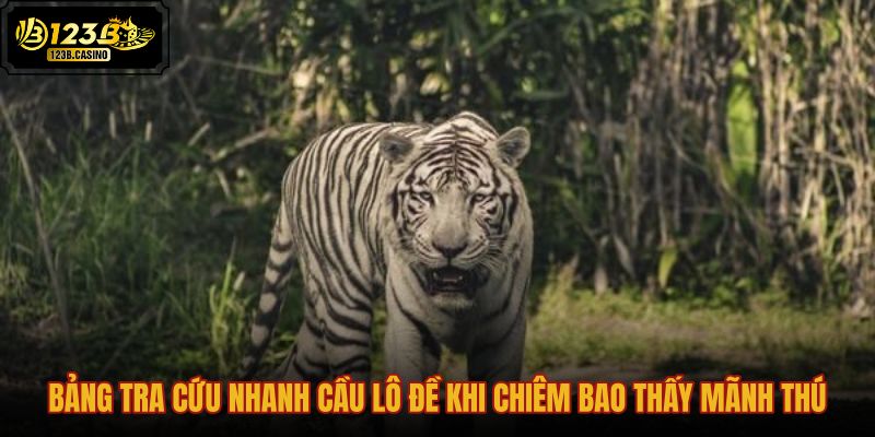 bang-tra-cuu-nhanh-cau-lo-de-khi-chiem-bao-thay-manh-thu