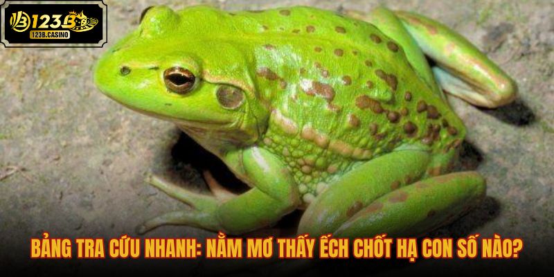 bang-tra-cuu-nhanh-nam-mo-thay-ech-chot-ha-con-so-nao