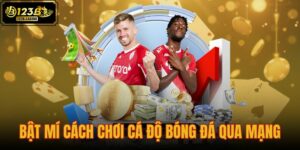 bật mí cách chơi cá độ bóng đá qua mạng
