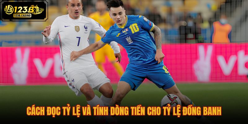 cach-doc-ty-le-va-tinh-dong-tien-cho-ty-le-dong-banh