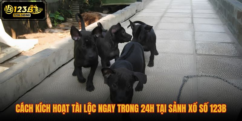 cach-kich-hoat-tai-loc-ngay-trong-24h-tai-sanh-xo-so-123b cach-kich-hoat-tai-loc-ngay-trong-24h-tai-sanh-xo-so-123b