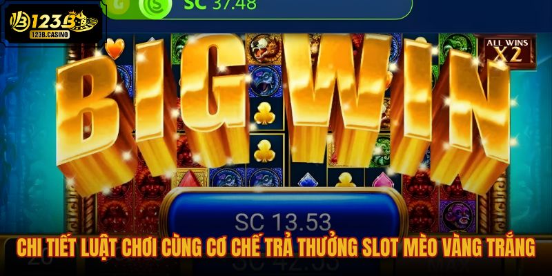 chi-tiet-luat-choi-cung-co-che-tra-thuong-slot-meo-vang-trang