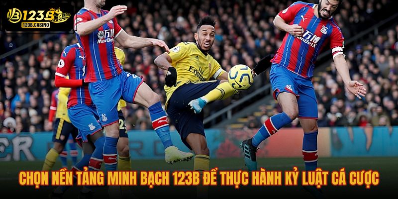 chon-nen-tang-minh-bach-123b-de-thuc-hanh-ky-luat-ca-cuoc