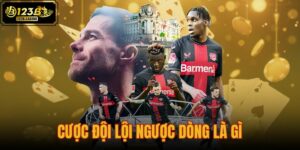 cược đội lội ngược dòng là gì