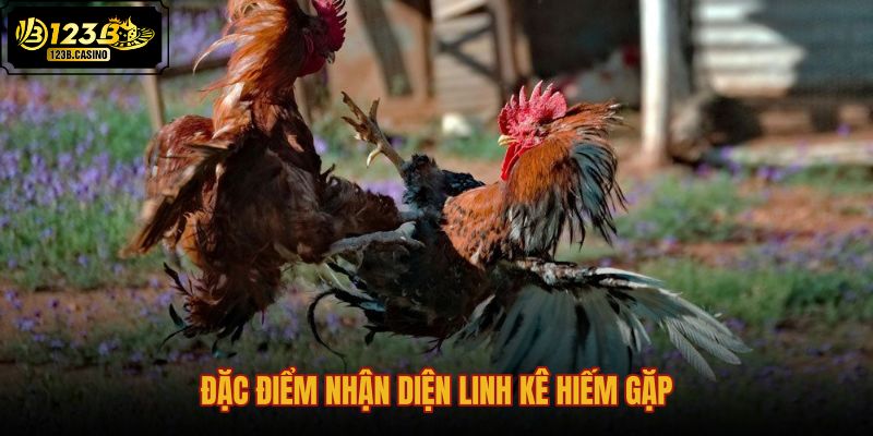 dac-diem-nhan-dien-linh-ke-hiem-gap