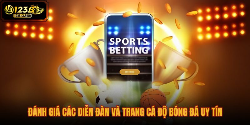 danh-gia-cac-dien-dan-va-trang-ca-do-bong-da-uy-tin