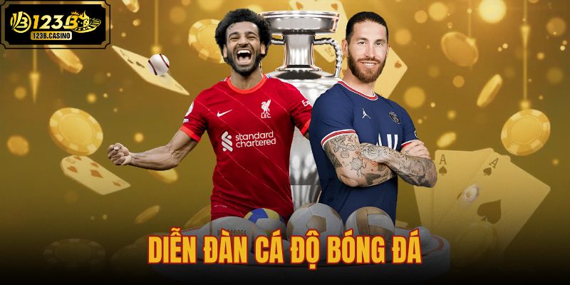 diễn đàn cá độ bóng đá