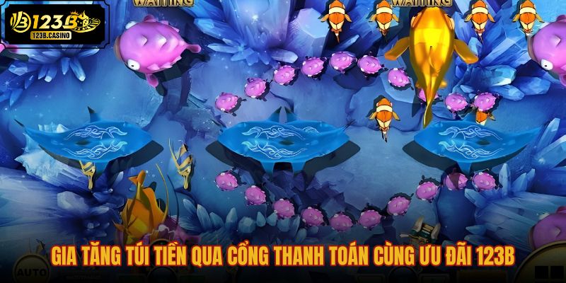 gia-tang-tui-tien-qua-cong-thanh-toan-cung-uu-dai-123b