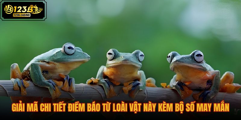 giai-ma-chi-tiet-diem-bao-tu-loai-vat-nay-kem-bo-so-may-man