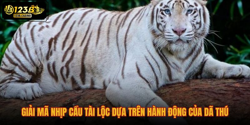 giai-ma-nhip-cau-tai-loc-dua-tren-hanh-dong-cua-da-thu