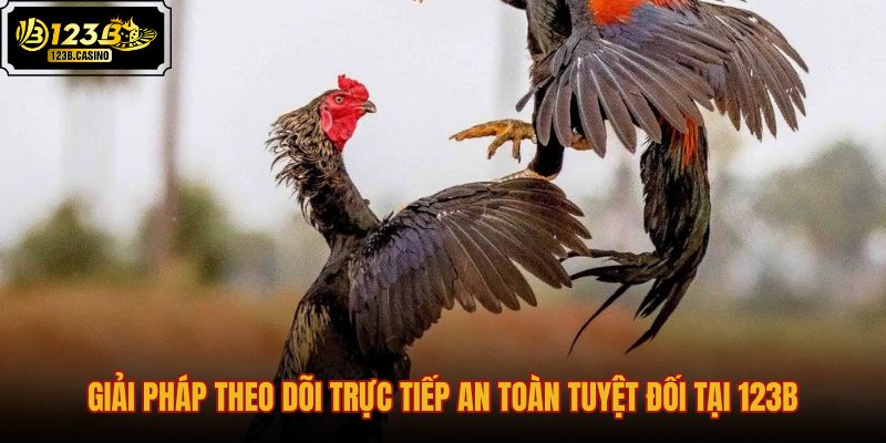 Nền tảng xem đá gà trực tiếp an toàn tại 123B