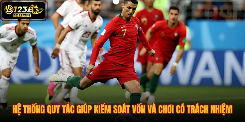 he-thong-quy-tac-giup-kiem-soat-von-va-choi-co-trach-nhiem