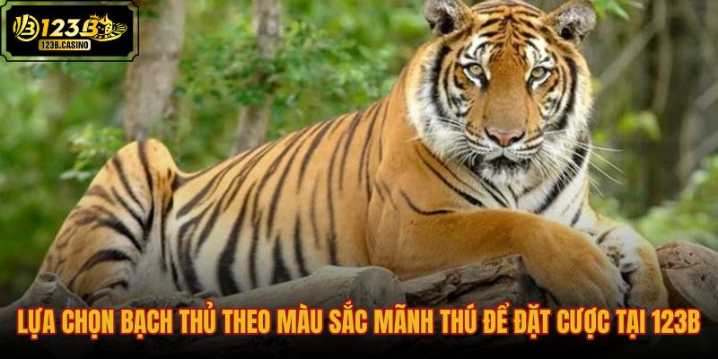 lua-chon-bach-thu-theo-mau-sac-manh-thu-de-dat-cuoc-tai-123b
