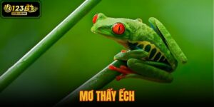 mơ thấy ếch