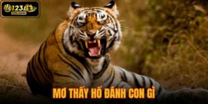 mơ thấy hổ đánh con gì