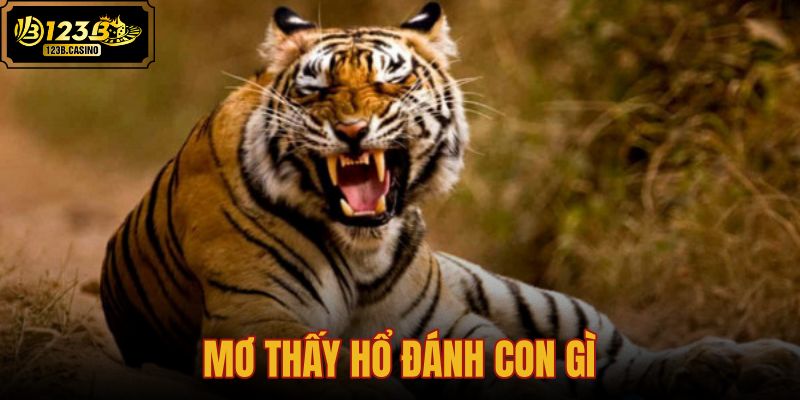 mơ thấy hổ đánh con gì