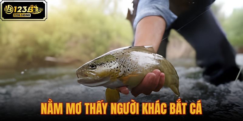 nằm mơ thấy người khác bắt cá
