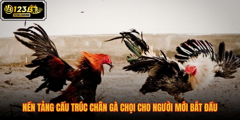 nen-tang-cau-truc-chan-ga-choi-cho-nguoi-moi-bat-dau