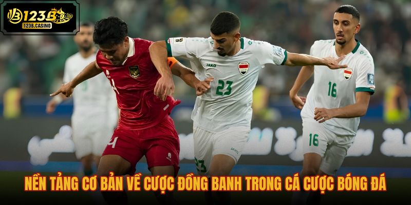 nen-tang-co-ban-ve-cuoc-dong-banh-trong-ca-cuoc-bong-da