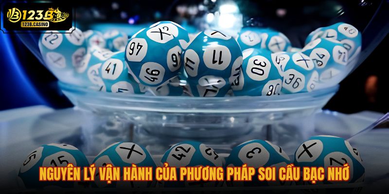 nguyen-ly-van-hanh-cua-phuong-phap-soi-cau-bac-nho