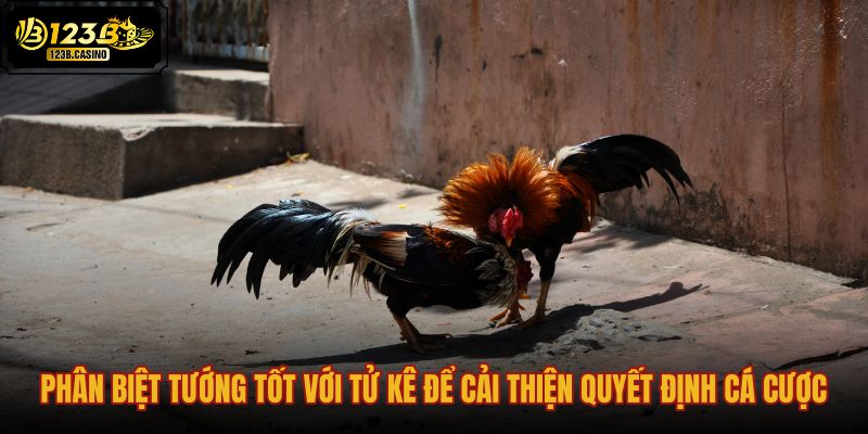 phan-biet-tuong-tot-voi-tu-ke-de-cai-thien-quyet-dinh-ca-cuoc