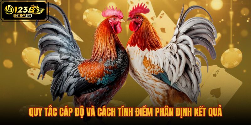Bộ luật đá gà tiêu chuẩn và cách nhận diện chiến kê