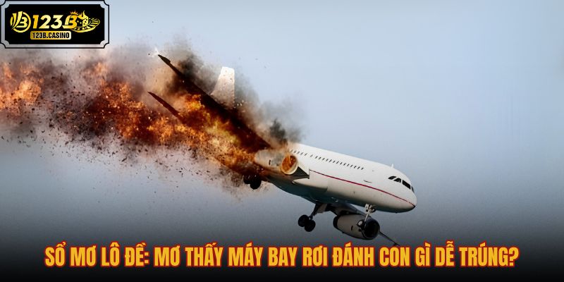 so-mo-lo-de-mo-thay-may-bay-roi-danh-con-gi-de-trung